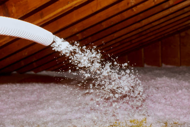 Best Specialized Insulation Services in Renton, WA