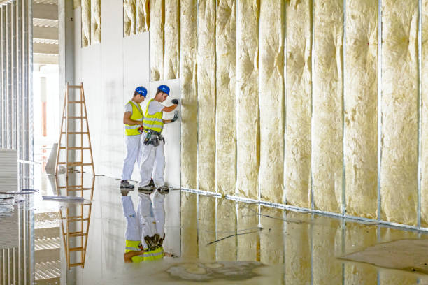 Best Residential Insulation in Renton, WA